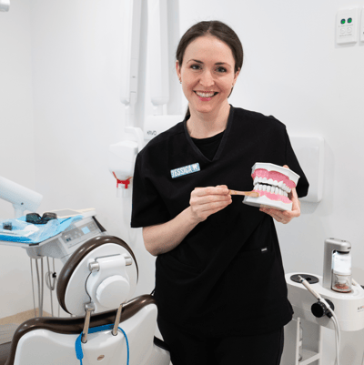 Image of Mulgrave Dental Group demonstrating proper brushing techniques with a dental model.